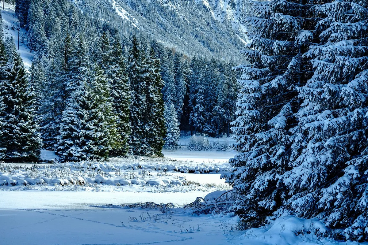 Winterising Your Flare System: Cold Weather Prep for Reliable Operation